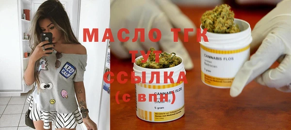 прущие грибы Вяземский