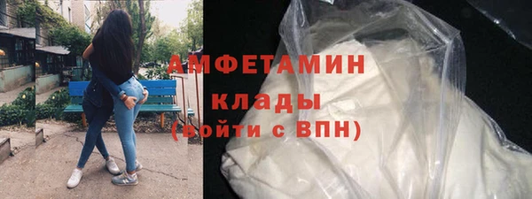 прущие грибы Вяземский