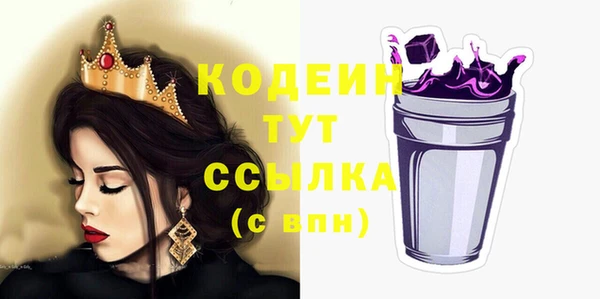 прущие грибы Вяземский