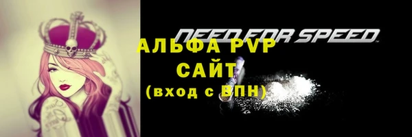 прущие грибы Вяземский
