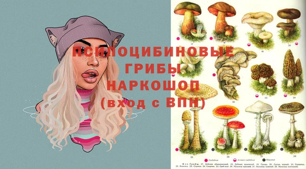 соль ск Вязьма