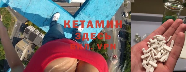 прущие грибы Вяземский