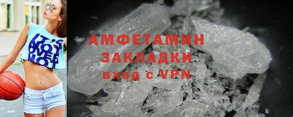 прущие грибы Вяземский