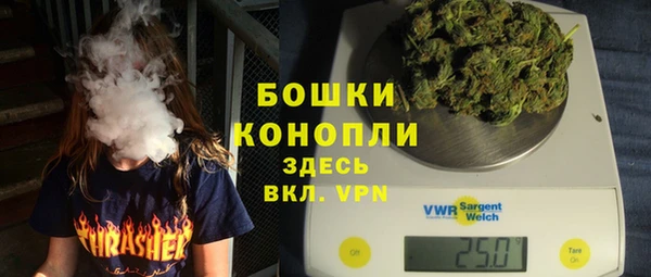 прущие грибы Вяземский